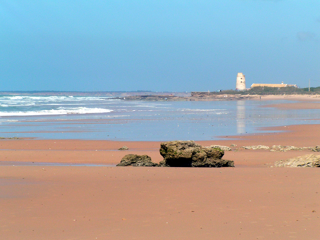 La Playa del Palmar en Cádiz
